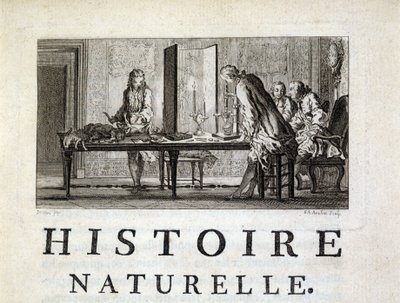 Dissezione degli animali - in "Storia naturale, generale e particolare" di Buffon da French School