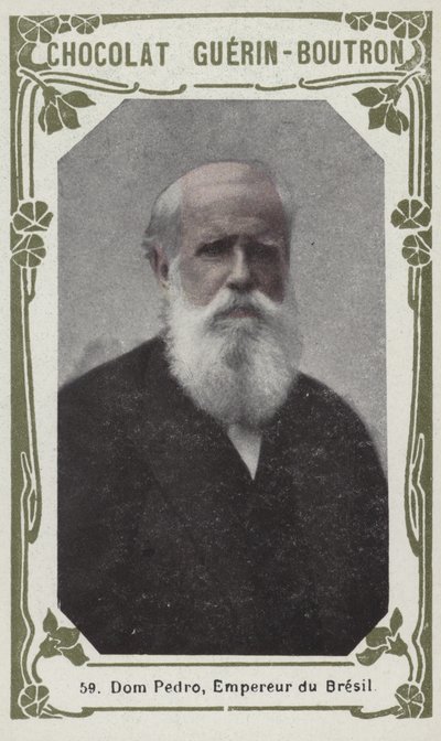 Dom Pedro, Imperatore del Brasile da French School