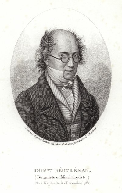 Dominique Sebastion Leman da French School