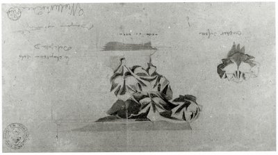 Disegno per il restauro di Notre Dame da French School