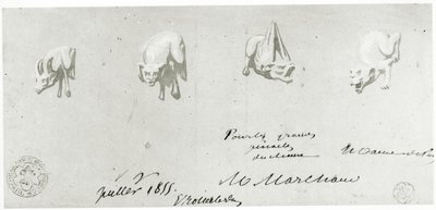 Disegno per il restauro delle gargolle di Notre Dame, 1855 da French School