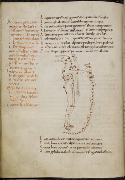Disegno della costellazione dell