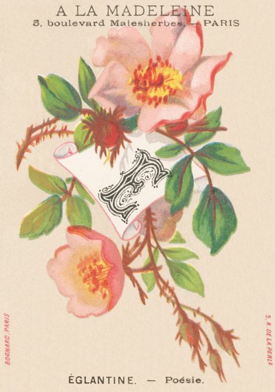 E: Eglantine - Poesia da French School