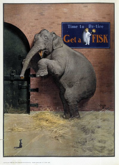 Elefante spaventato da un topo - in 