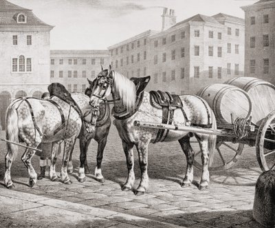 Cavalli da Fattoria Inglesi, 1823 da French School