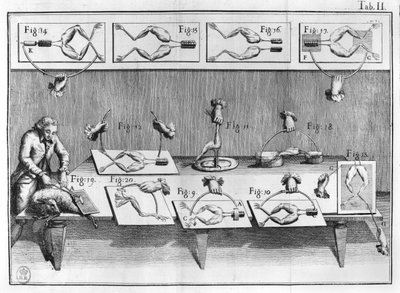 Esperimento sulle rane, illustrazione da De viribus electricitatis in motu muscumari da French School