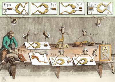 Esperimento sulle rane, illustrazione da De viribus electricitatis in motu muscumari da French School