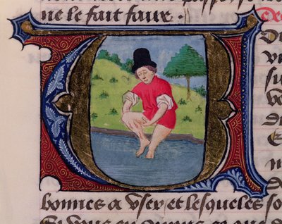 F.27v Sanguisuga, da Traité de Médecine di Aldebrande de Florence, 1356 da French School