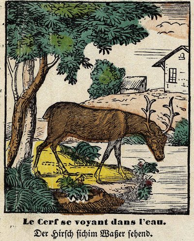 Favole di La Fontaine: il cervo che si vede nell