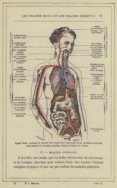 Figura ideale, che mostra il percorso di un virus nell