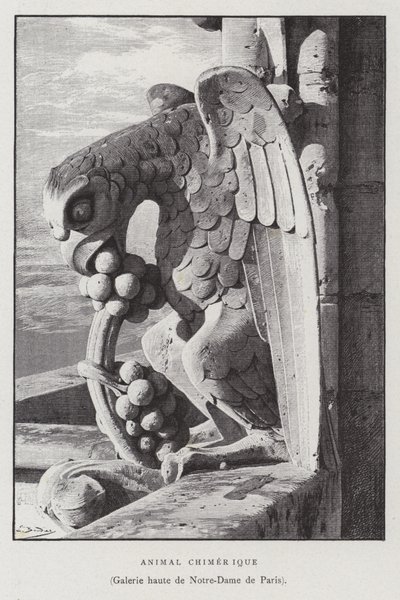 Figura di un animale chimerico, dalla galleria superiore di Notre Dame de Paris da French School