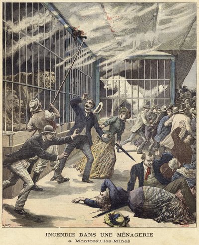 Incendio allo zoo di Montceau-les-Mines da French School