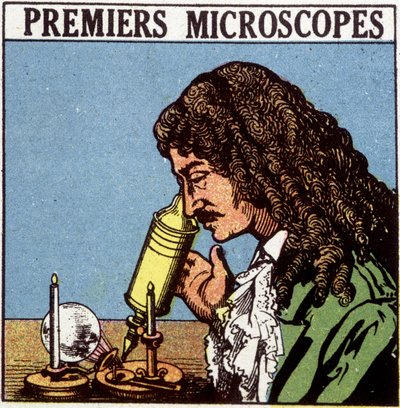 Primi microscopi: Huygens da French School