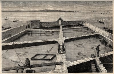 Piscicoltura a Concarneau - Bretagna - Stabilimento di piscicoltura - Concarneau - Finistère - Bretagna - incisione in 
