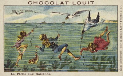 Pesca ai gabbiani nell