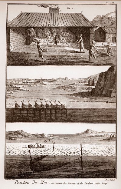 Pesca, aringhe e sardine - "La Grande Encyclopedie, ou Dictionnaire Raisonne des Sciences, des Arts et des Metiers" di Deni da French School