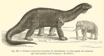 Forma e grandezza probabili dell