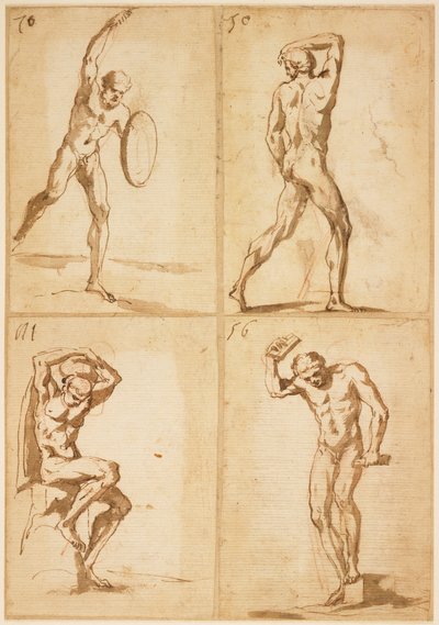 Quattro studi di nudi maschili da French School