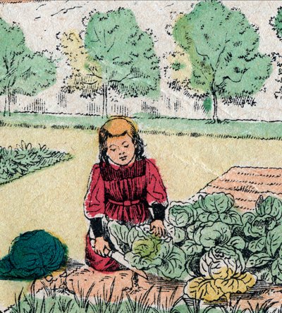 Credenza francese: Una bambina, credendo che i bambini nascano nei cavoli o nelle rose, taglia i germogli di un orto - Immagine di Epinal - XIX secolo (incisione) da French School