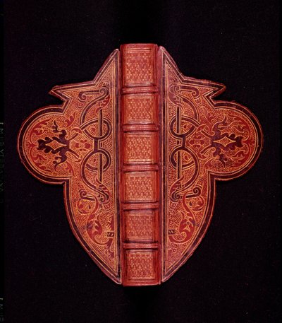 Copertina di un Libro d