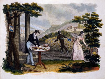 Frontespizio da Les Papillons... di Eugene Balland (1796-c.1850), pubblicato da P. Blanchard, Lecerf, Parigi, 1823 da French School