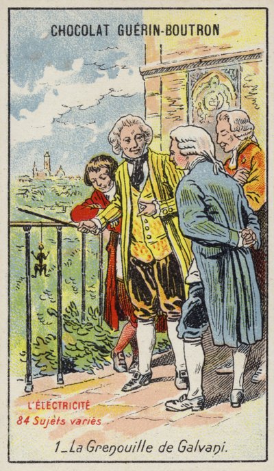 La rana di Galvani da French School