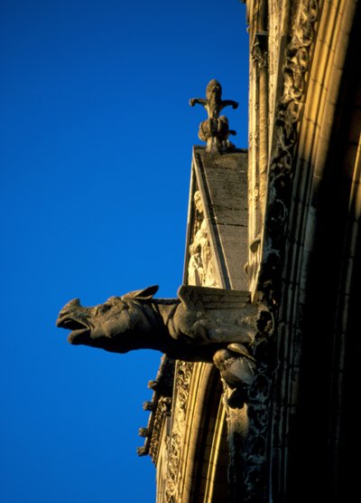 Gargoyle della Cattedrale di Laon in Aisne (02) da French School