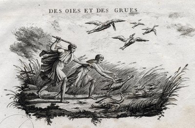 Oche e gru - Favola di Esopo (scrittore greco Esopo, VI secolo a.C.) Scritta da Guillaume Montfort e incisa da Beauble nel 1801 da French School
