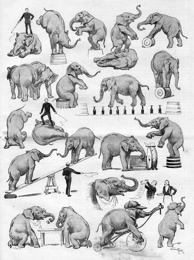 Il circo di Geo Lockart famoso per i suoi elefanti al Hippodrome de Paris, in Le Monde Illustré da French School