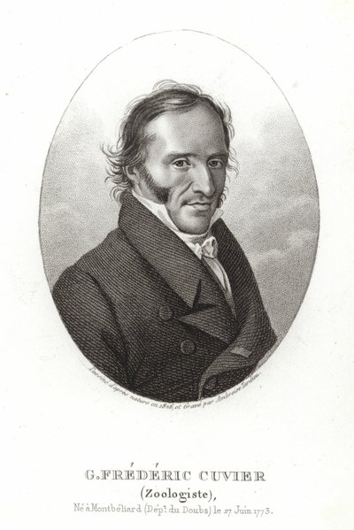 Georges Cuvier da French School