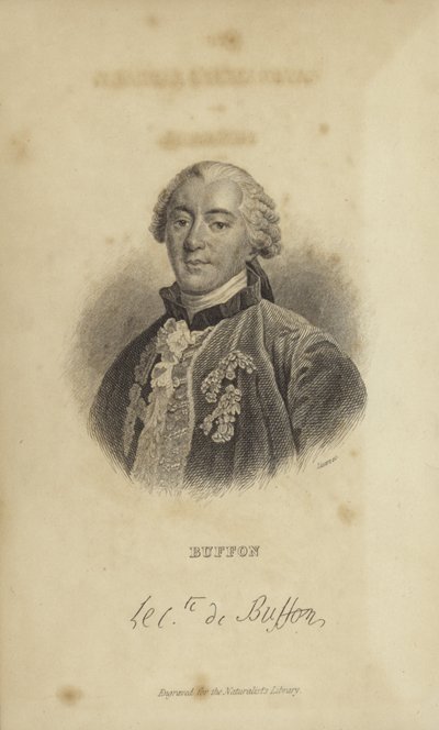 Georges-Louis Leclerc, Comte de Buffon da French School