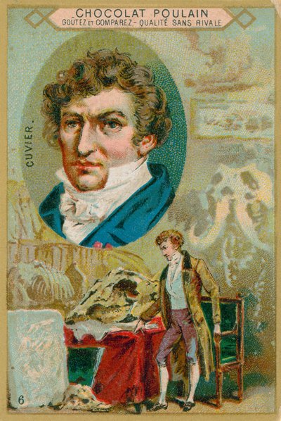 Georges Cuvier da French School