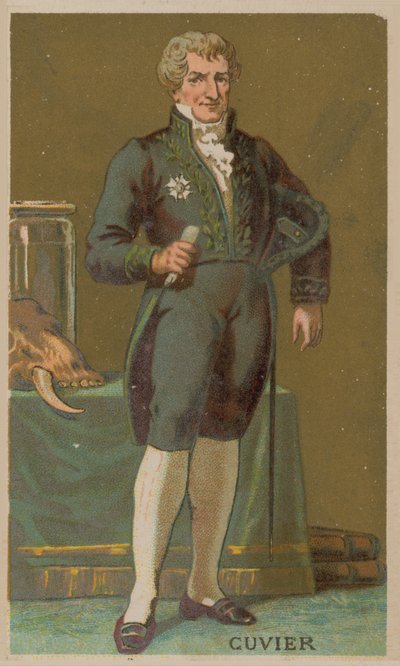 Georges Cuvier, naturalista e zoologo francese (1769-1832) da French School