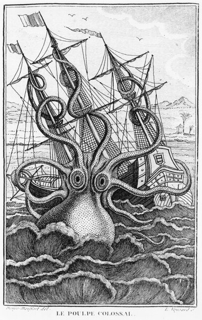 Polpo gigante, illustrazione da LHistoire Naturelle Generale et Particuliere des Mollusques di Denys-Montfort, c. 1802-03 da French School