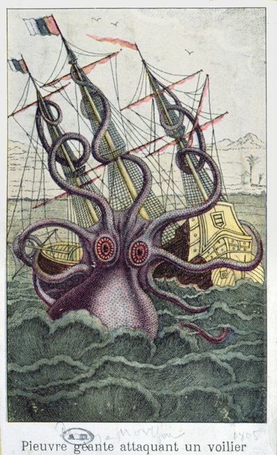 Polpo gigante, illustrazione da LHistoire Naturelle Generale et Particuliere des Mollusques di Denys-Montfort, c. 1802-03 da French School