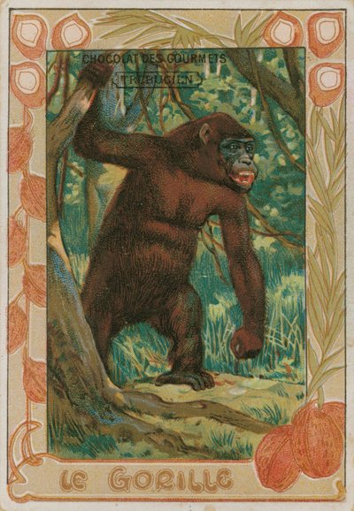 Gorilla da French School