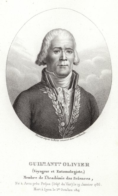 Guillaume Antoine Olivier da French School