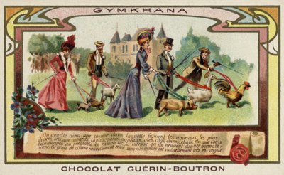 Gymkhana da French School