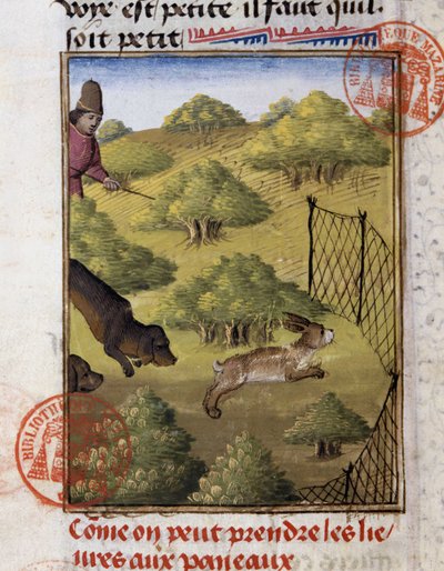 Caccia alla lepre - nel "Libro di Caccia di Gaston Phoebus, Conte di Foix, Signore di Béarn" da French School