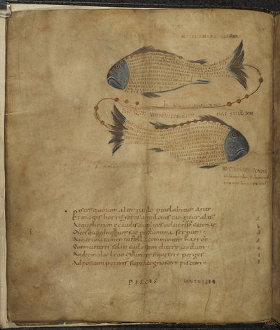 Illustrazione della Costellazione dei Pesci, da 