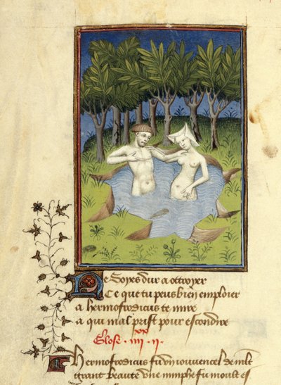 Miniatura di Ermafrodito e la ninfa Salmace che si bagnano in un lago, da 
