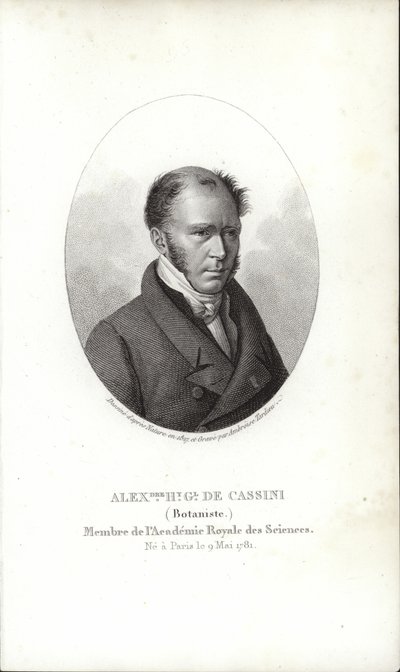 Henri Cassini da French School