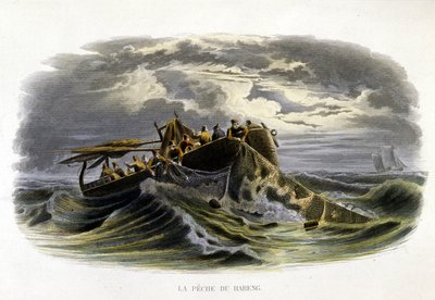 Pesca dell