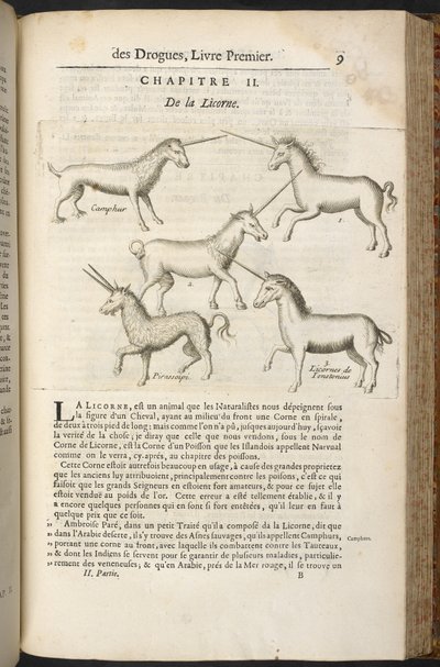 Histoire générale des Drogues, trattando delle piante, degli animali e dei minerali... di Pierre Pomet da French School