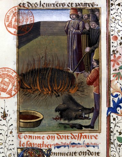 Come scuoiare un cinghiale - in “Libro di caccia di Gaston Phoebus, Conte di Foix, Signore di Béarn” da French School