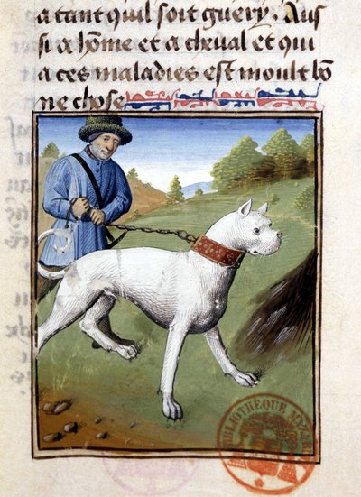 Cane da caccia tenuto al guinzaglio - nel "Libro di Caccia di Gaston Phoebus, Conte di Foix, Signore di Béarn" da French School