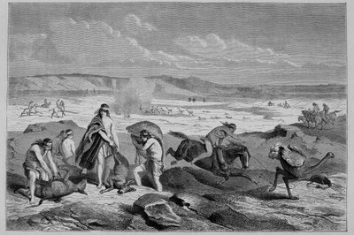 Caccia al guanaco (lama selvatico) e nandou (o struzzo patagonico) in Argentina - in "Tour du Monde", 2ª settimana 1861 da French School