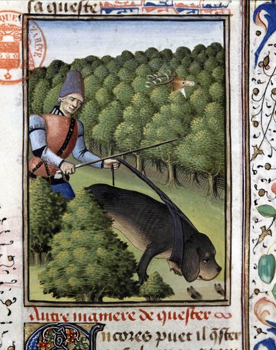 Scena di caccia: un cane segue il cervo - nel "Libro di Caccia di Gaston Phoebus, Conte di Foix, Signore di Béarn" da French School