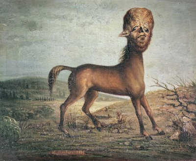 Cavalla idrocefalica, nata il 21 gennaio 1821, 1835 da French School