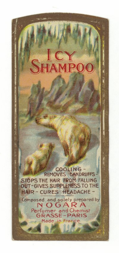 Etichetta Icy Shampoo, Nogara da French School